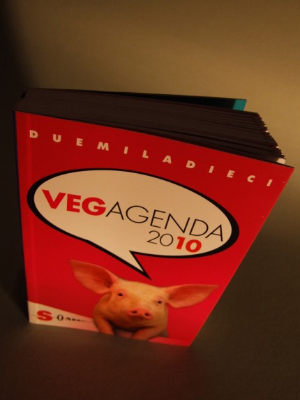 vegagenda-foto01